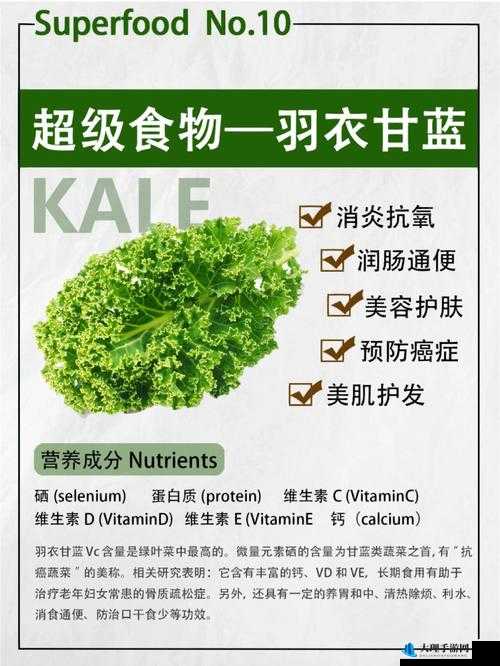 kale 是什么意思：探索羽衣甘蓝的奥秘